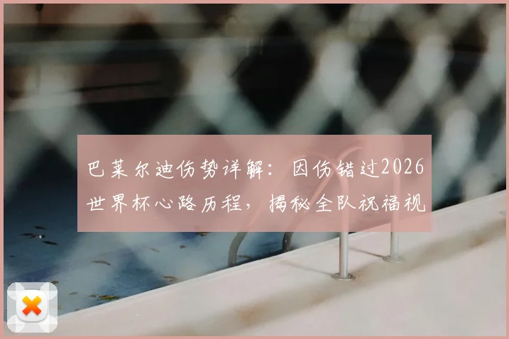 巴莱尔迪伤势详解:因伤错过2026世界杯心路历程,揭秘全队祝福视频背后故事与未来职业规划